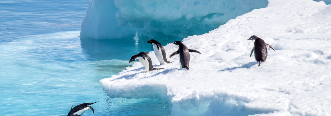 CLIMATE: NO INCREASE IN ANTARCTIC TEMPERATURE FOR LAST SEVEN DECADES