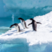 CLIMATE: NO INCREASE IN ANTARCTIC TEMPERATURE FOR LAST SEVEN DECADES