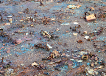 HEAVY METAL DETOXIFICATION: PART 1