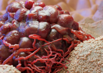 HARMS OF CANCER SCREENING