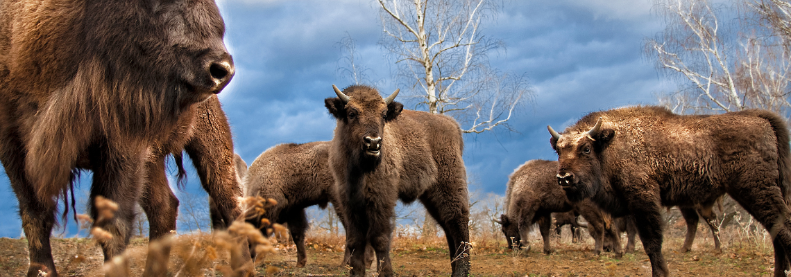 COMPLETE FREEDOM: PART 2