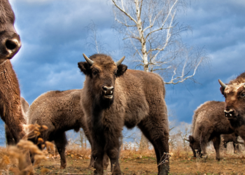 COMPLETE FREEDOM: PART 2