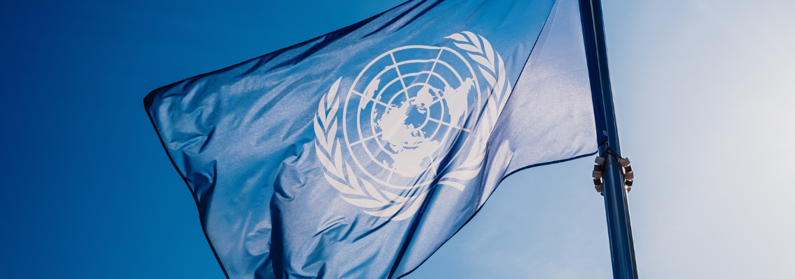 UN PACT FOR THE FUTURE:  WORTHLESS? (Part 2)