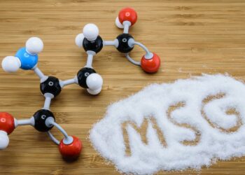 MSG:  THE SLOW KILLER IN YOUR FOOD? A BRIEF UMBRELLA REVIEW!