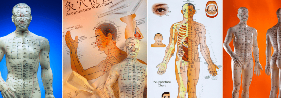 TRADITIONAL CHINESE MEDICINE: AN INTRODUCTION