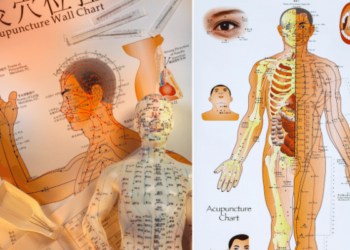 TRADITIONAL CHINESE MEDICINE: AN INTRODUCTION