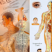 TRADITIONAL CHINESE MEDICINE: AN INTRODUCTION
