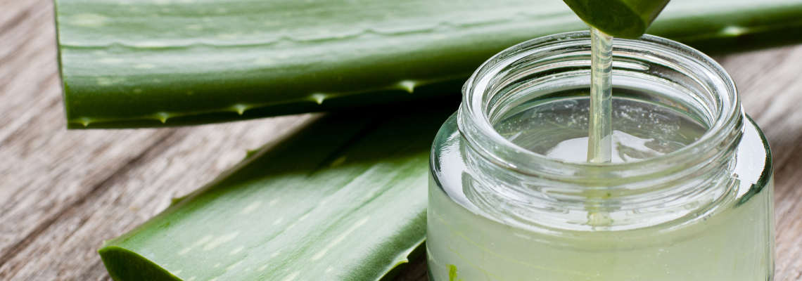 A WORKING MIRACLE: ALOE VERA!