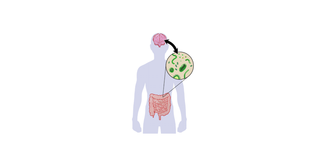 THE GUT-BRAIN-MICROBIOTA-AXIS: FROM MENTAL HEALTH ISSUES TO BOWEL PROBLEMS, AND BACK