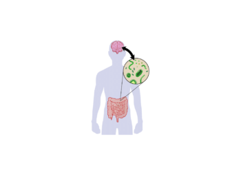 THE GUT-BRAIN-MICROBIOTA-AXIS: FROM MENTAL HEALTH ISSUES TO BOWEL PROBLEMS, AND BACK