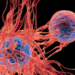 NEUTRACEUTICALS FOR THE PREVENTION AND TREATMENT OF CANCER