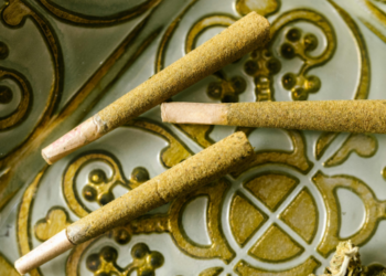 THE PROS AND CONS OF USING MARIJUANA FOR RECREATIONAL PURPOSE: A LOOK FROM BOTH BIOLOGICAL PERSPECTIVES