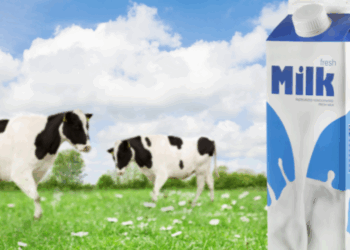 DAIRY: DAILY OR BARELY? A VIEW OF DAIRY’S HEALTH BENEFITS, HARMS, AND POSSIBLE ADVERSE REACTIONS