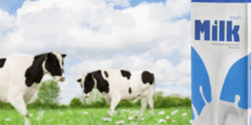 DAIRY: DAILY OR BARELY? A VIEW OF DAIRY’S HEALTH BENEFITS, HARMS, AND POSSIBLE ADVERSE REACTIONS