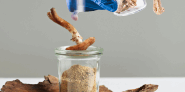 PSILOCYBIN AND YOUR LIFESPAN!