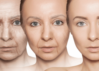 THE SYNTHETIC DREAM: LONGEVITY AND SENOLYTICS