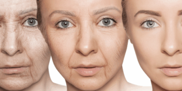 THE SYNTHETIC DREAM: LONGEVITY AND SENOLYTICS