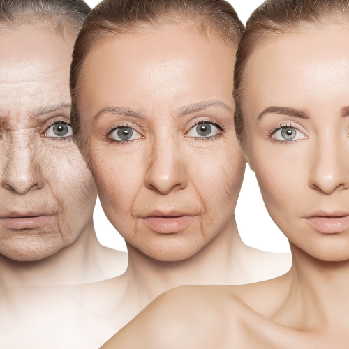 THE SYNTHETIC DREAM: LONGEVITY AND SENOLYTICS